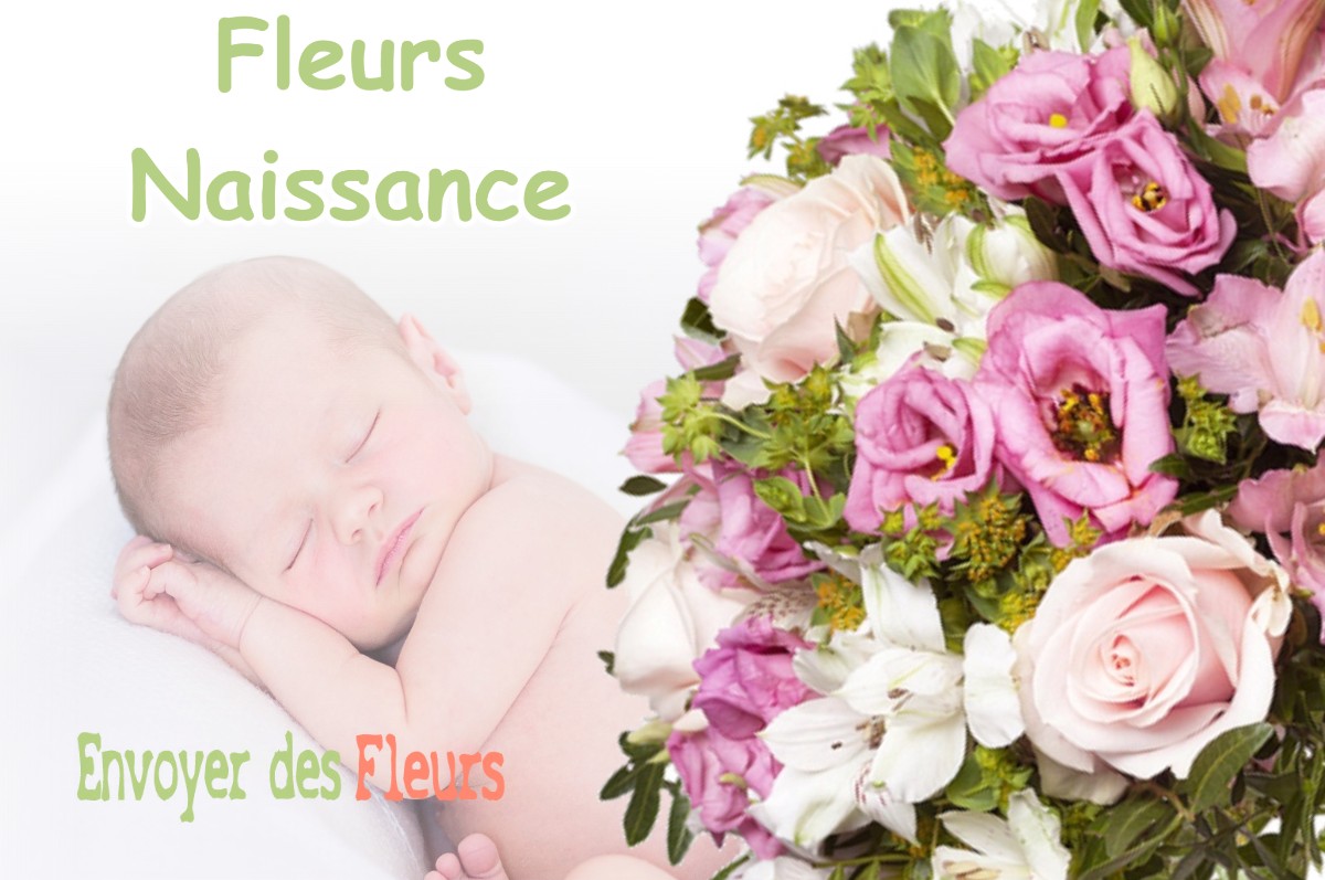 lIVRAISON FLEURS NAISSANCE à NARGIS